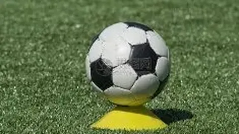 国际乒联探讨将总部选址转移至布达佩斯