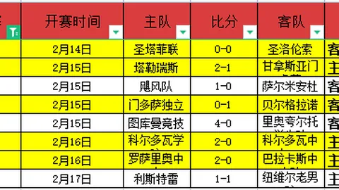 【热辣速报！澳超霸主奥克兰FC主场战况紧张，今日激战悬念重重】